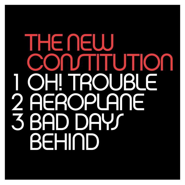 The New Constitution's avatar image