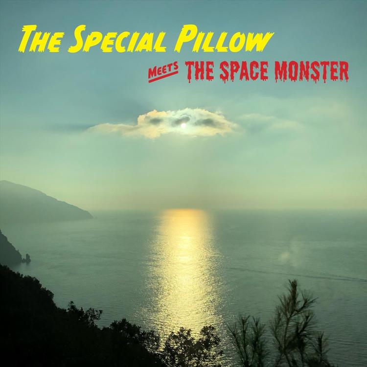 The Special Pillow's avatar image