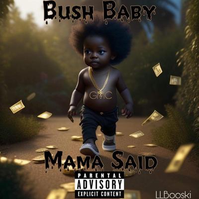 Bush Baby's cover
