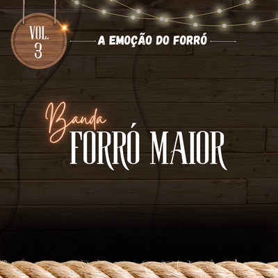 A Emoção Do Forró, Vol. 3's cover
