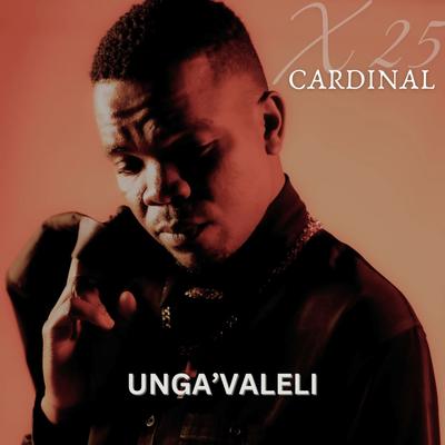 Cardinal X25's cover