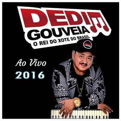 Rei do Xote do Brasil - Ao Vivo - 2016's cover