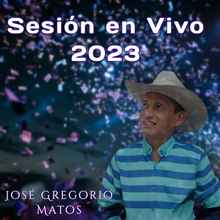 Jose Gregorio Matos's avatar image