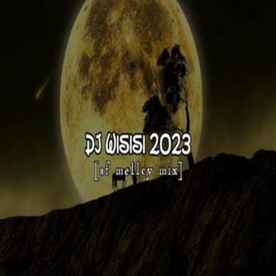 DJ Wisisi 2023 (Af Meley Mix)'s cover
