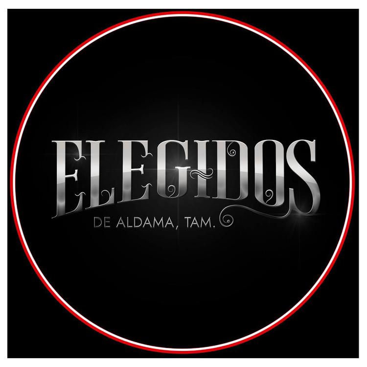 Grupo Elegidos De Aldama Tam.'s avatar image