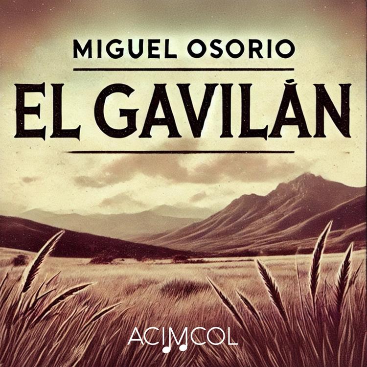 Miguel Osorio's avatar image