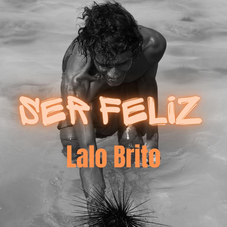 Lalo Brito's avatar image