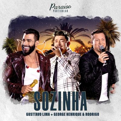 Sozinha (Ao Vivo)'s cover