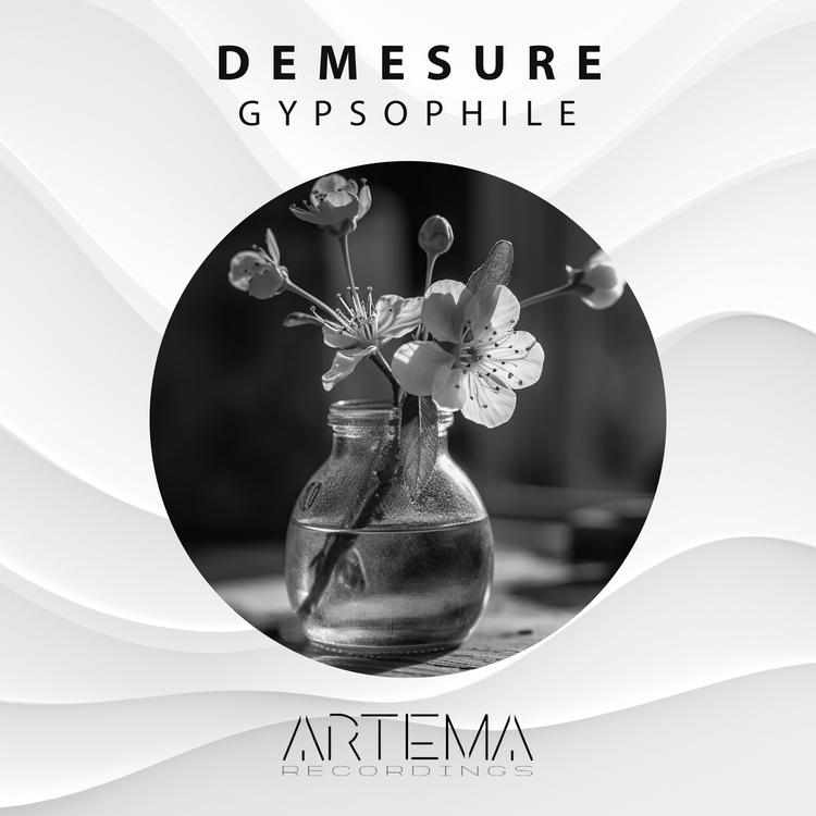 Demesure's avatar image