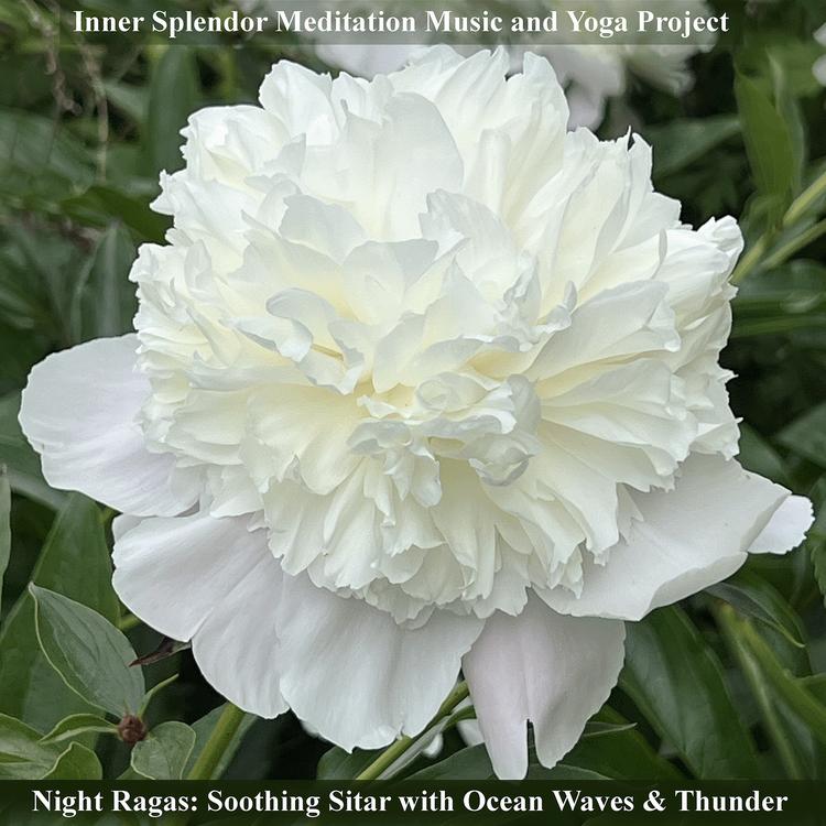 Inner Splendor Meditation Music and Yoga Project's avatar image