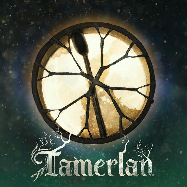 Tamerlan's avatar image