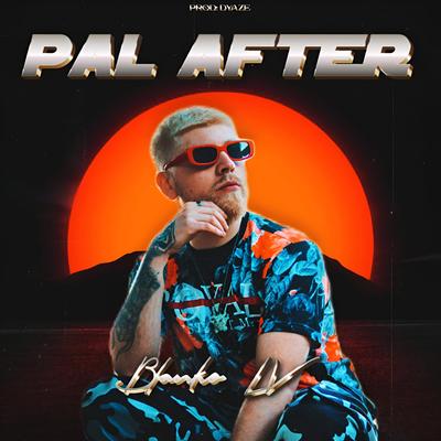 Pal After's cover