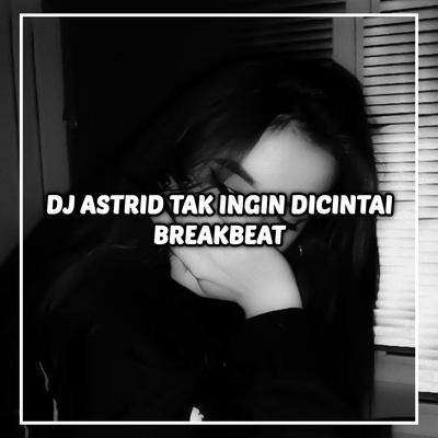 DJ TAK INGIN DICINTAI BREAKBEAT's cover