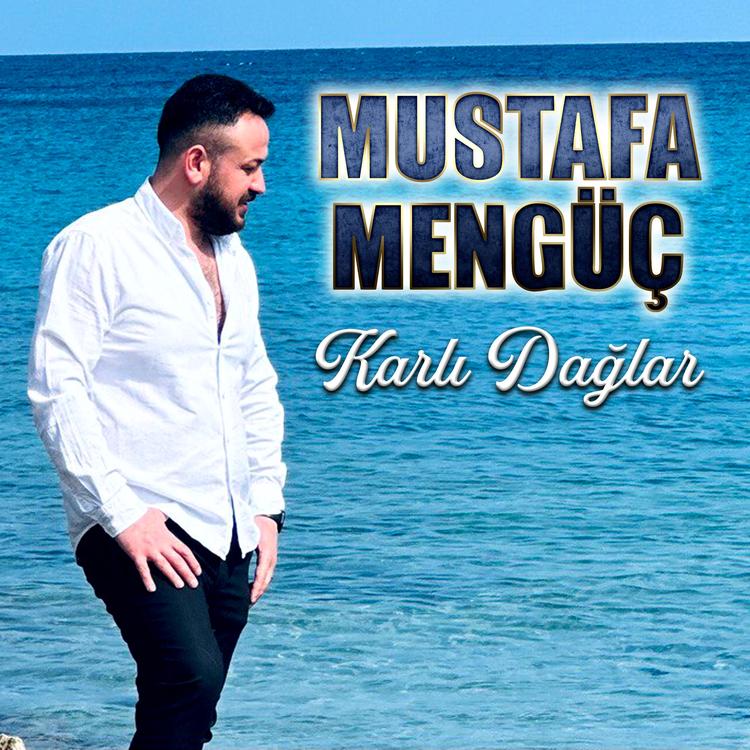 Mustafa Mengüç's avatar image