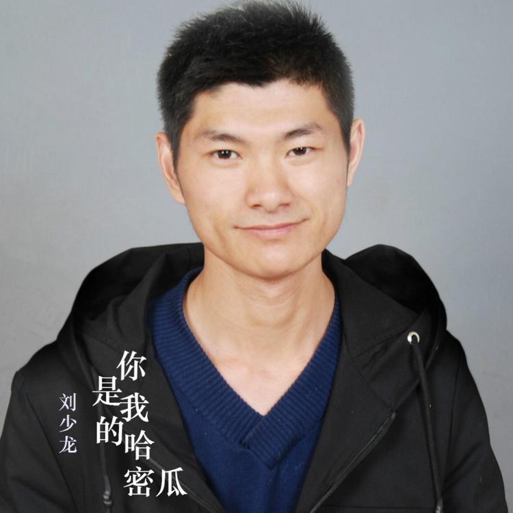 刘少龙's avatar image