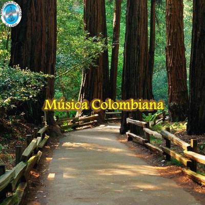 Música Colombiana's cover