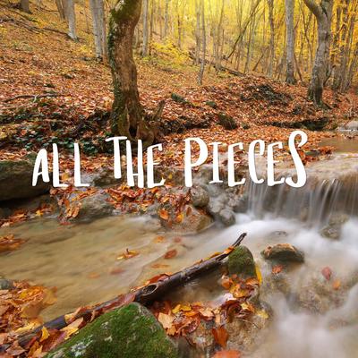 All the Pieces (Instrumental)'s cover