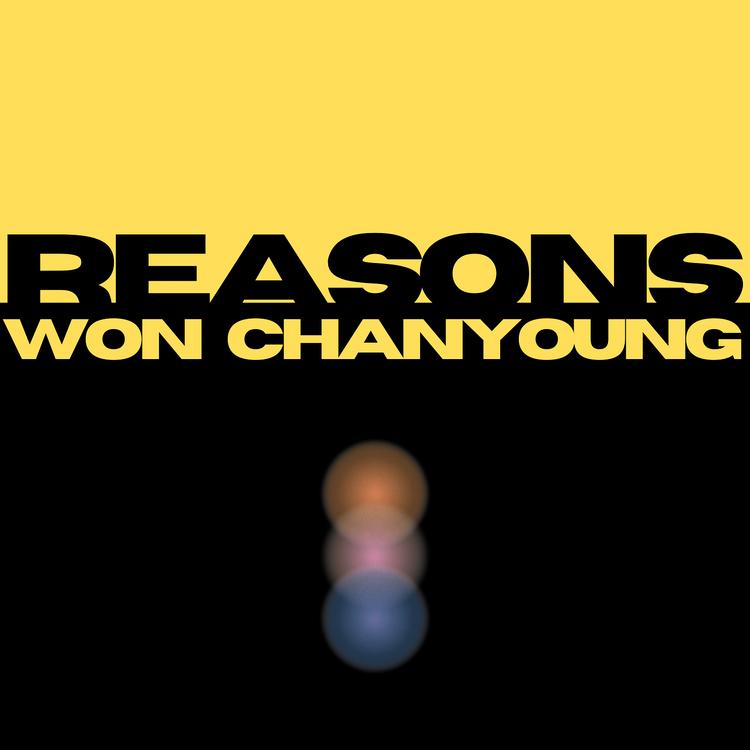 WON CHANYOUNG's avatar image