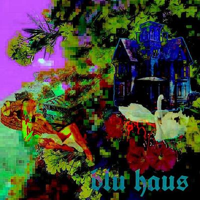 Blu Haus's cover