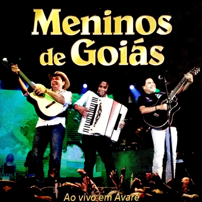 Ao Vivo em Avaré's cover