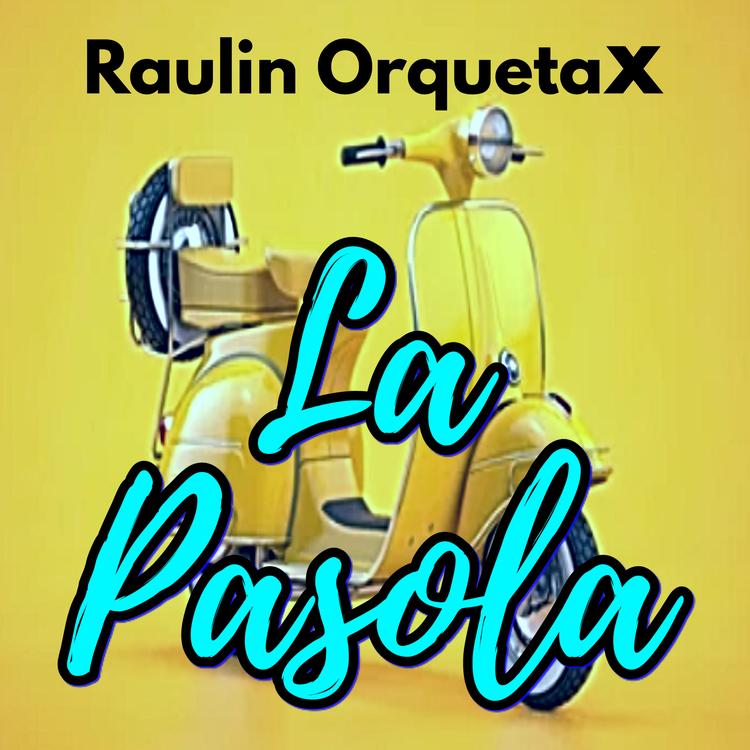Raulin Orquetax's avatar image