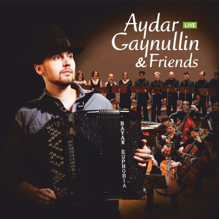 Aydar Gaynullin's avatar image