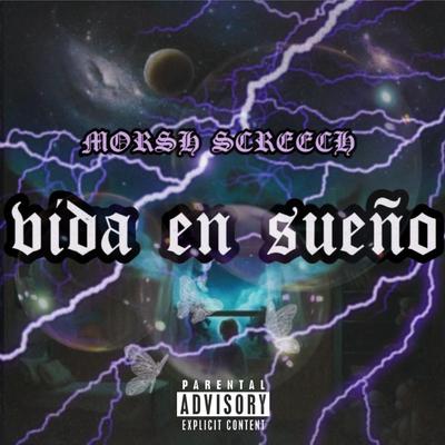 Vida en Sueño's cover