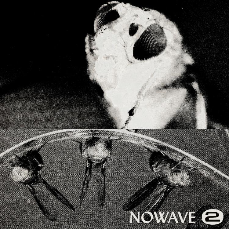 NOWAVE's avatar image