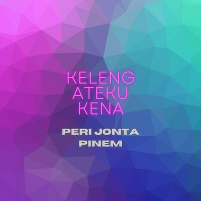 Keleng Ateku Kena DJ Remix (Nd Karo, Nd Biring, Nd Ginting, Nd Tigan, Nd Nangin)'s cover