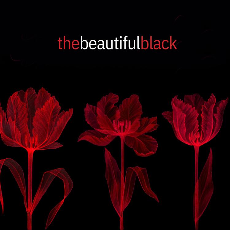 The Beautiful Black's avatar image