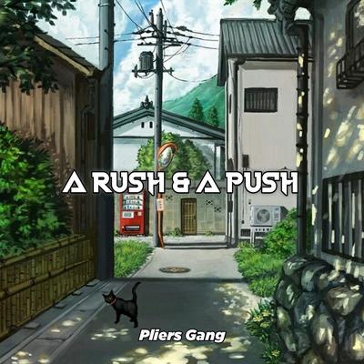 A RUSH & A PUSH's cover