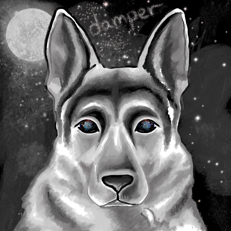 Damper's avatar image