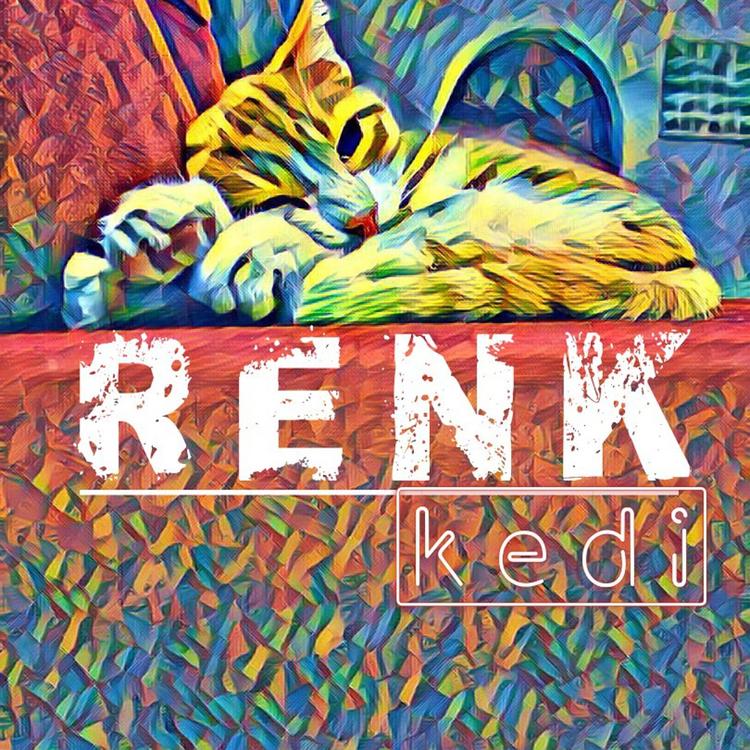 Renk's avatar image