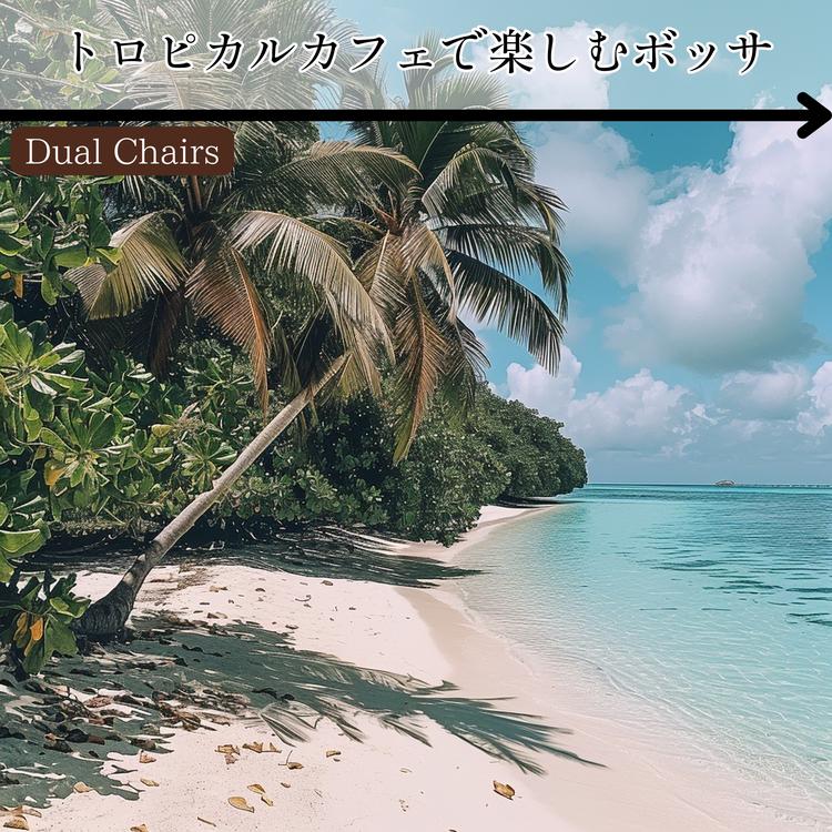 Dual Chairs's avatar image