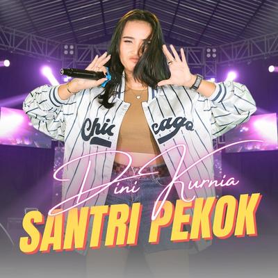 Santri Pekok (Remix)'s cover