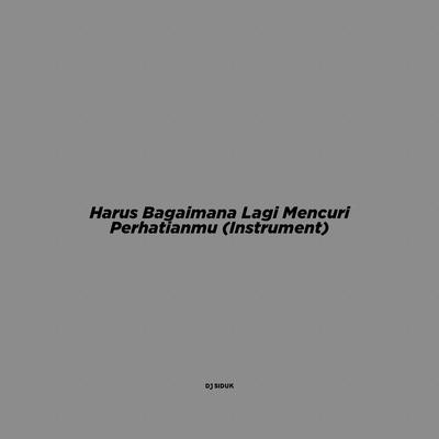 Harus Bagaimana Lagi Mencuri Perhatianmu (Instrument)'s cover