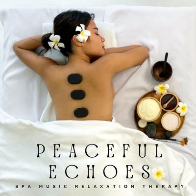 Spa Music Relaxation Therapy's cover