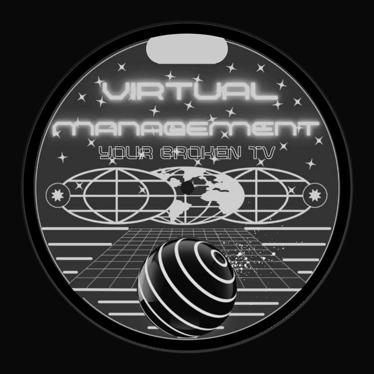 Virtual Management's avatar image