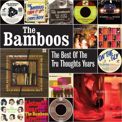 I Got Burned (feat. Tim Rogers) By The Bamboos, Tim Rogers's cover