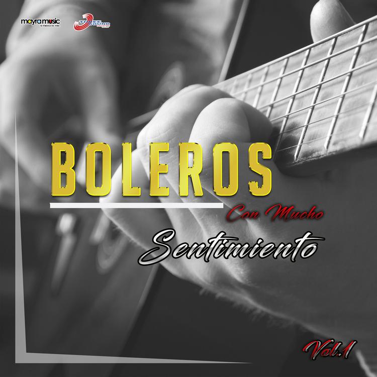 Boleros Con Mucho Sentimiento's avatar image