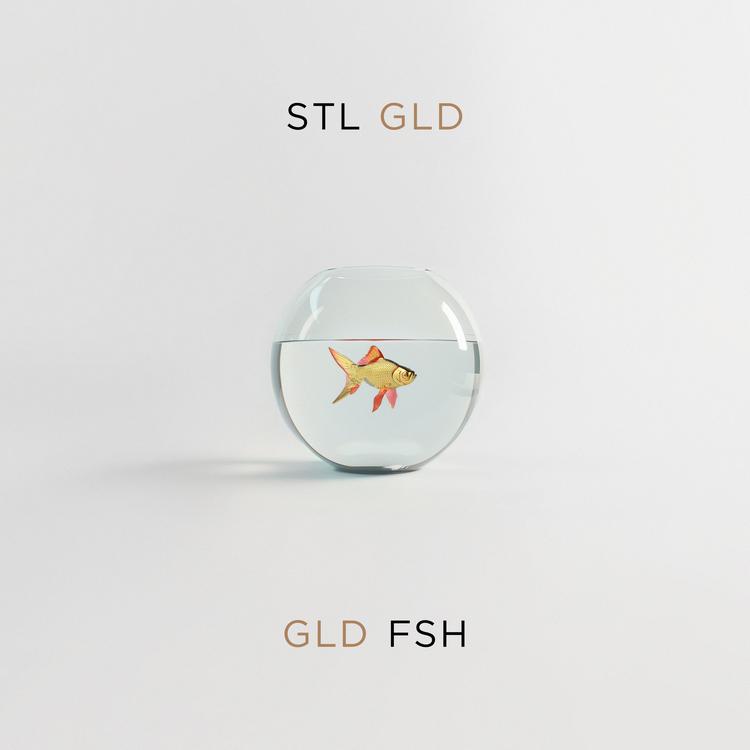 STL GLD's avatar image