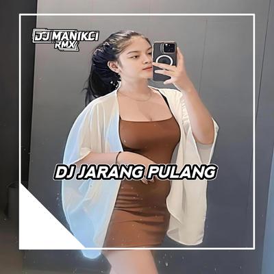 DJ JARANG PULANG-TIAP ABANG GAK PULANG PULANG's cover