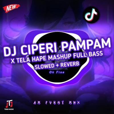 DJ CIPERI PAM PAM's cover