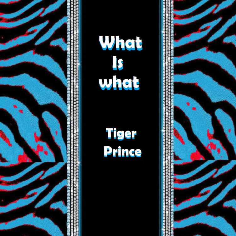 Tiger Prince's avatar image