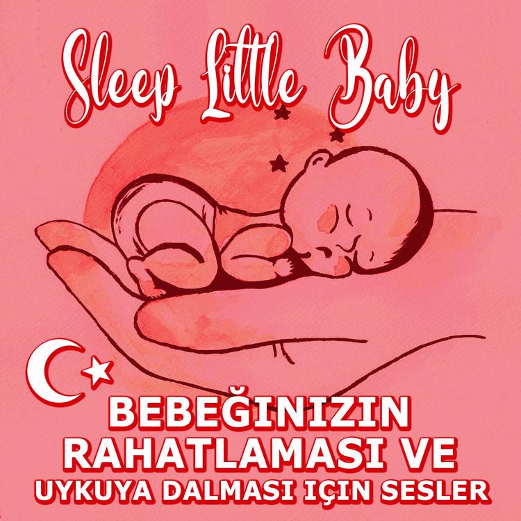 Sleep Little Baby's avatar image