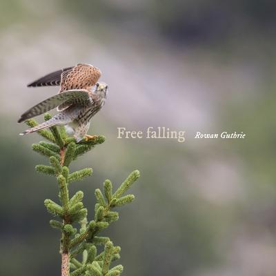 Free falling By Rowan Guthrie's cover