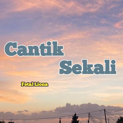 Cantik Sekali's cover