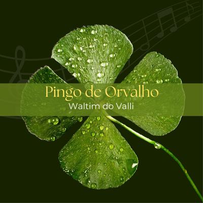 Pingo de Orvalho's cover