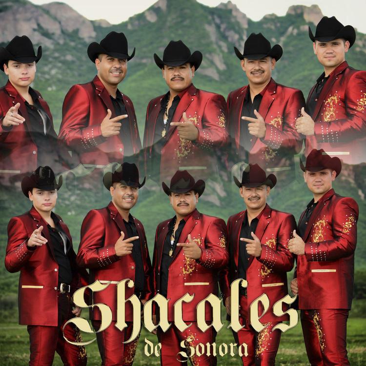 Shacales de Sonora's avatar image