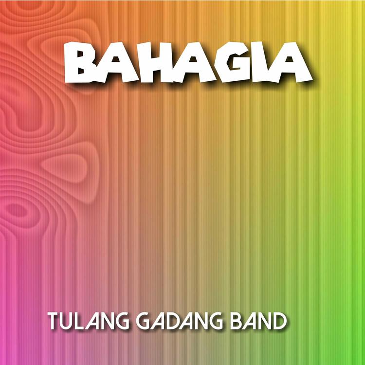 Tulang Gadang Band's avatar image